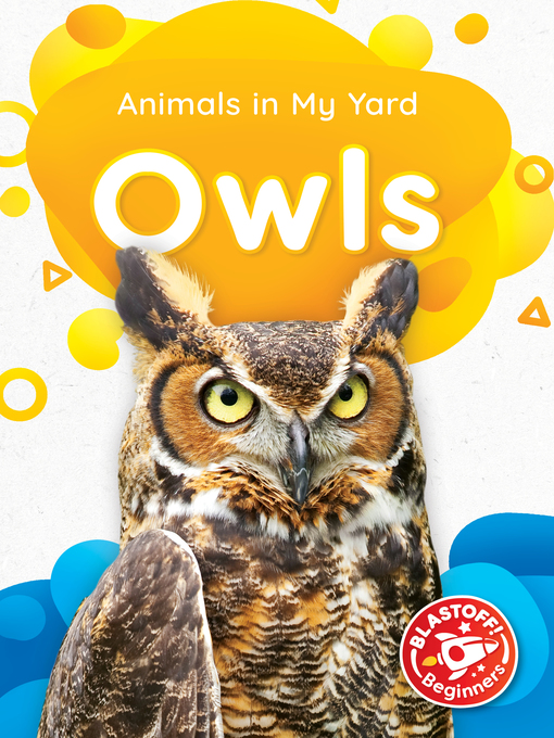 Cover image for Owls